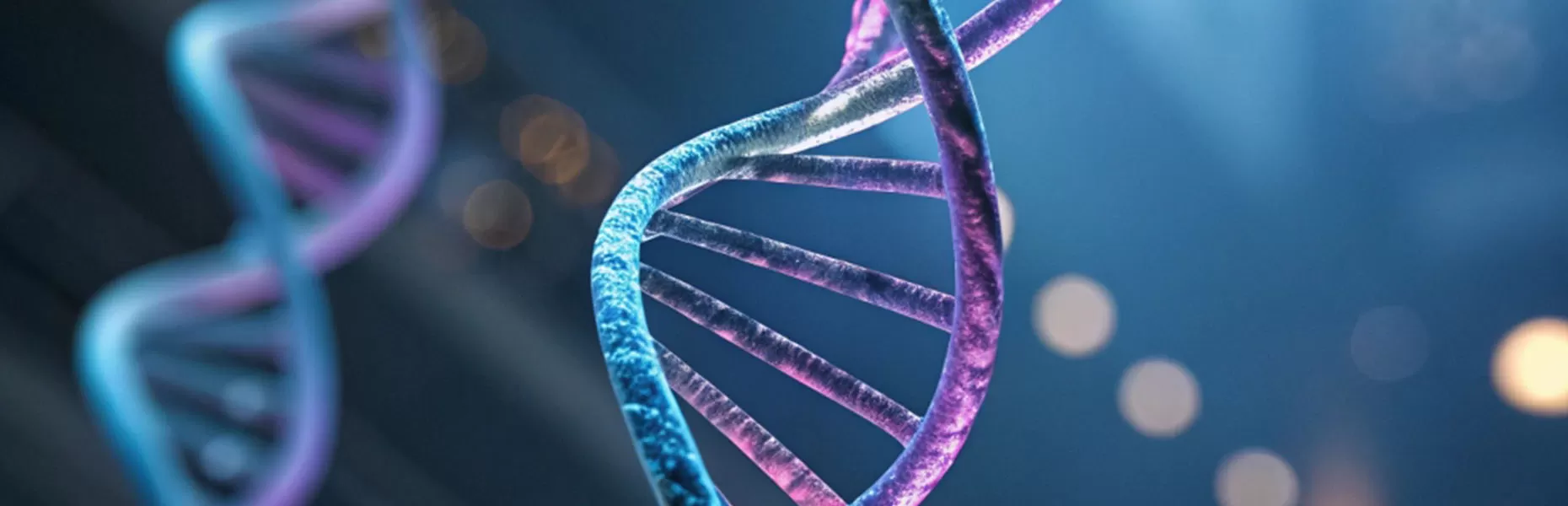 Optical Products in Biotechnology