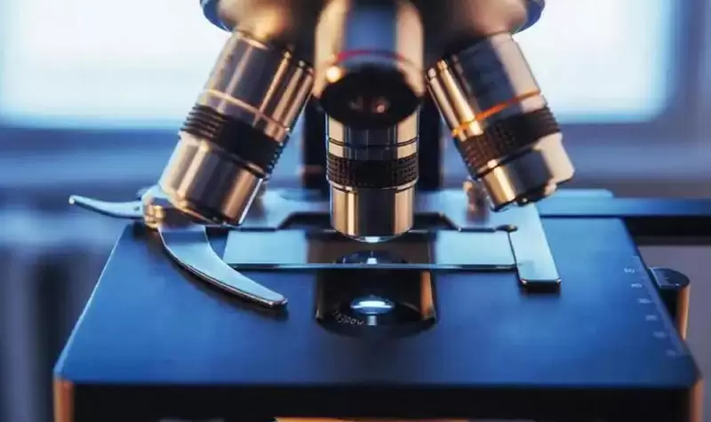 Hauptleistungsparameter des Mikroskops
