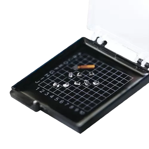 Lumbale perkutane Endoskopie