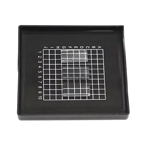 Mikrolinsenarray Mikrolinsenarray